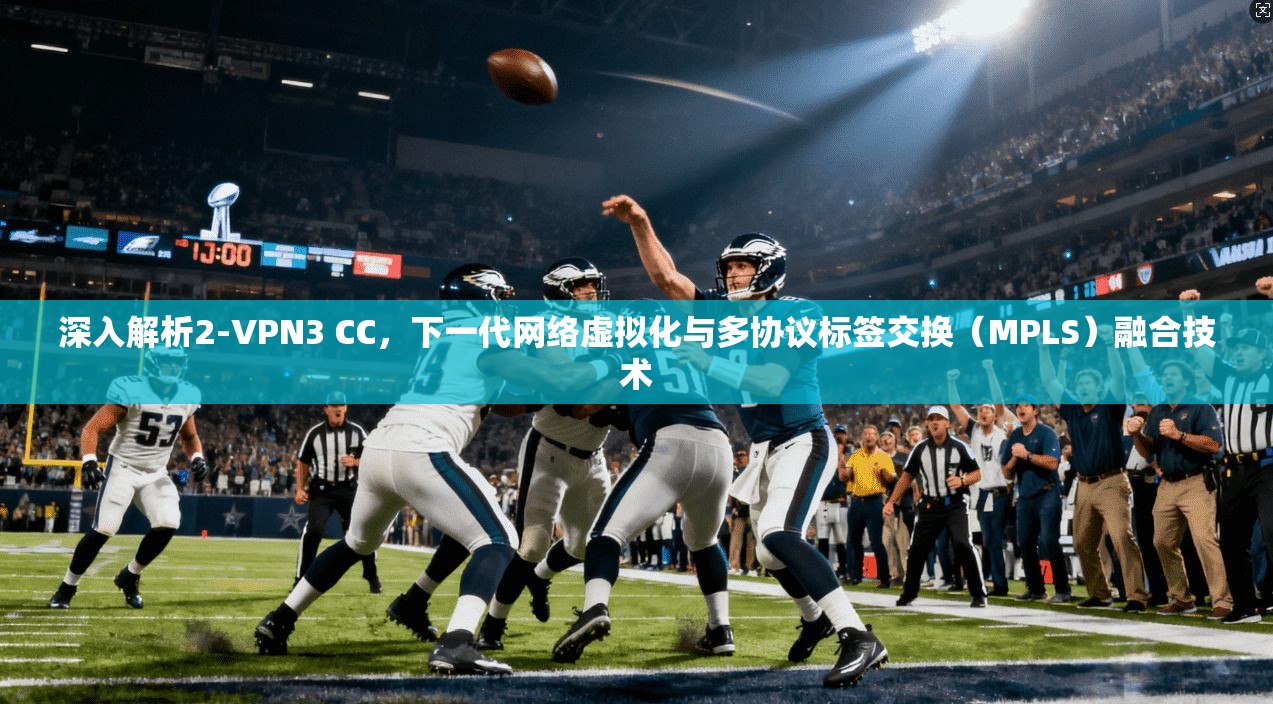 深入解析2-VPN3 CC，下一代网络虚拟化与多协议标签交换（MPLS）融合技术