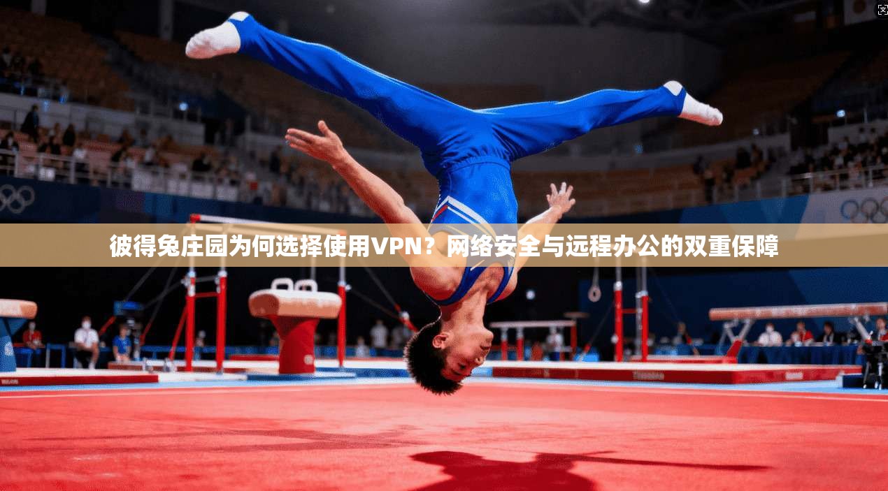 彼得兔庄园为何选择使用VPN？网络安全与远程办公的双重保障