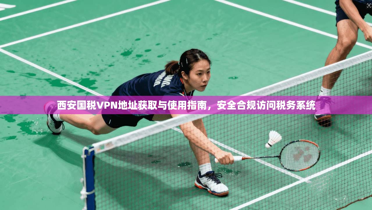 西安国税VPN地址获取与使用指南，安全合规访问税务系统