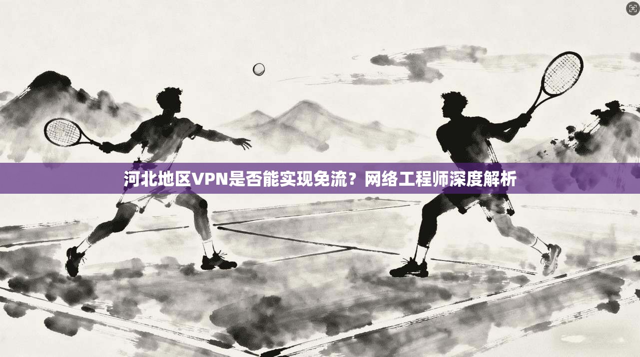 河北地区VPN是否能实现免流？网络工程师深度解析