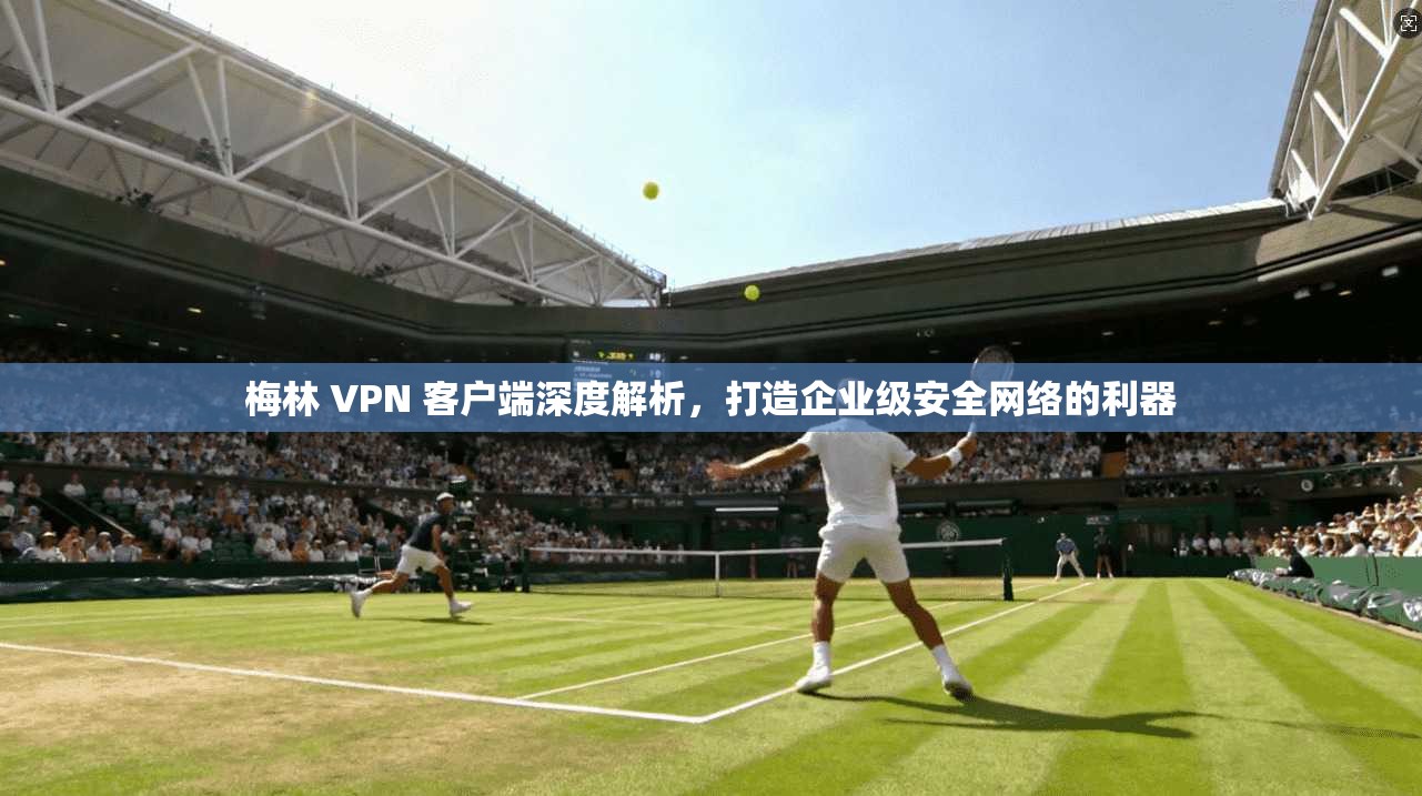 梅林 VPN 客户端深度解析，打造企业级安全网络的利器