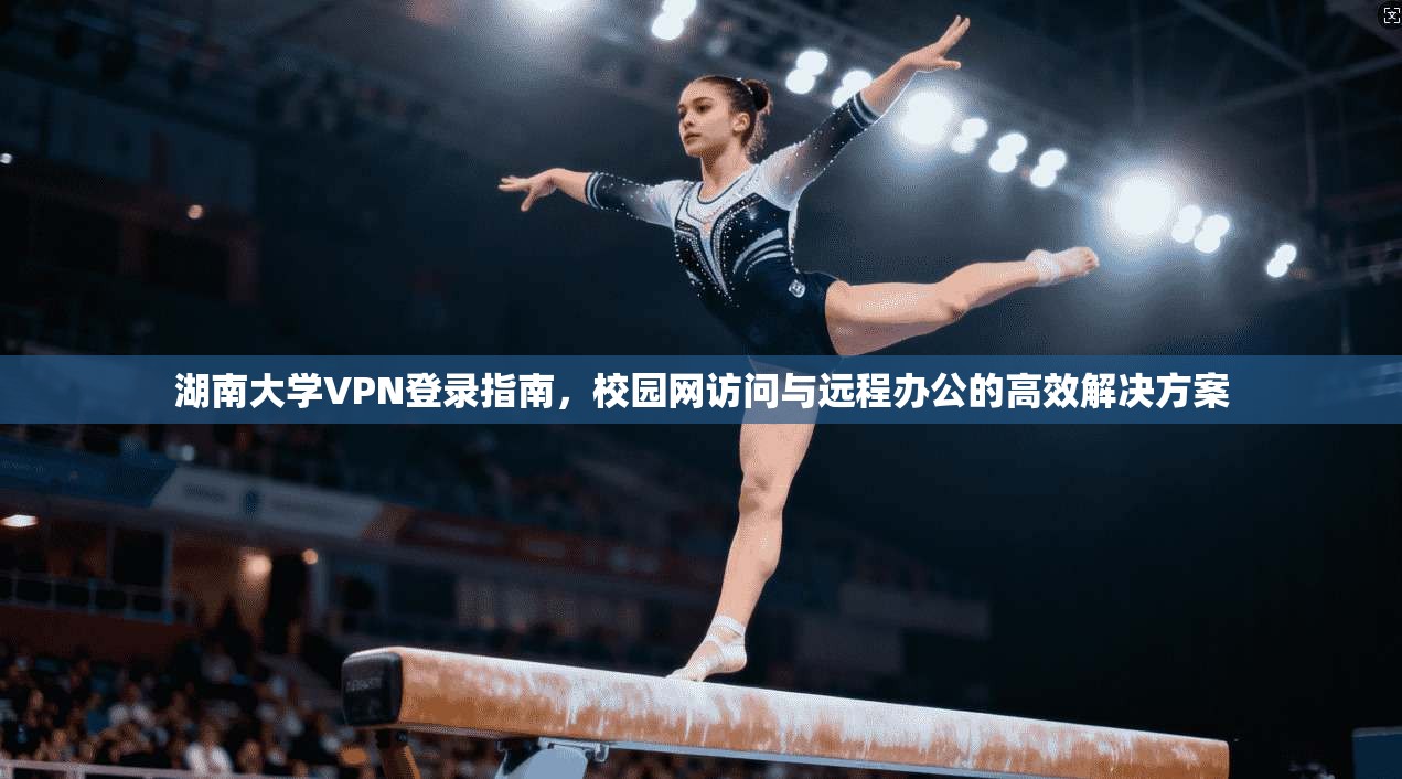 湖南大学VPN登录指南，校园网访问与远程办公的高效解决方案