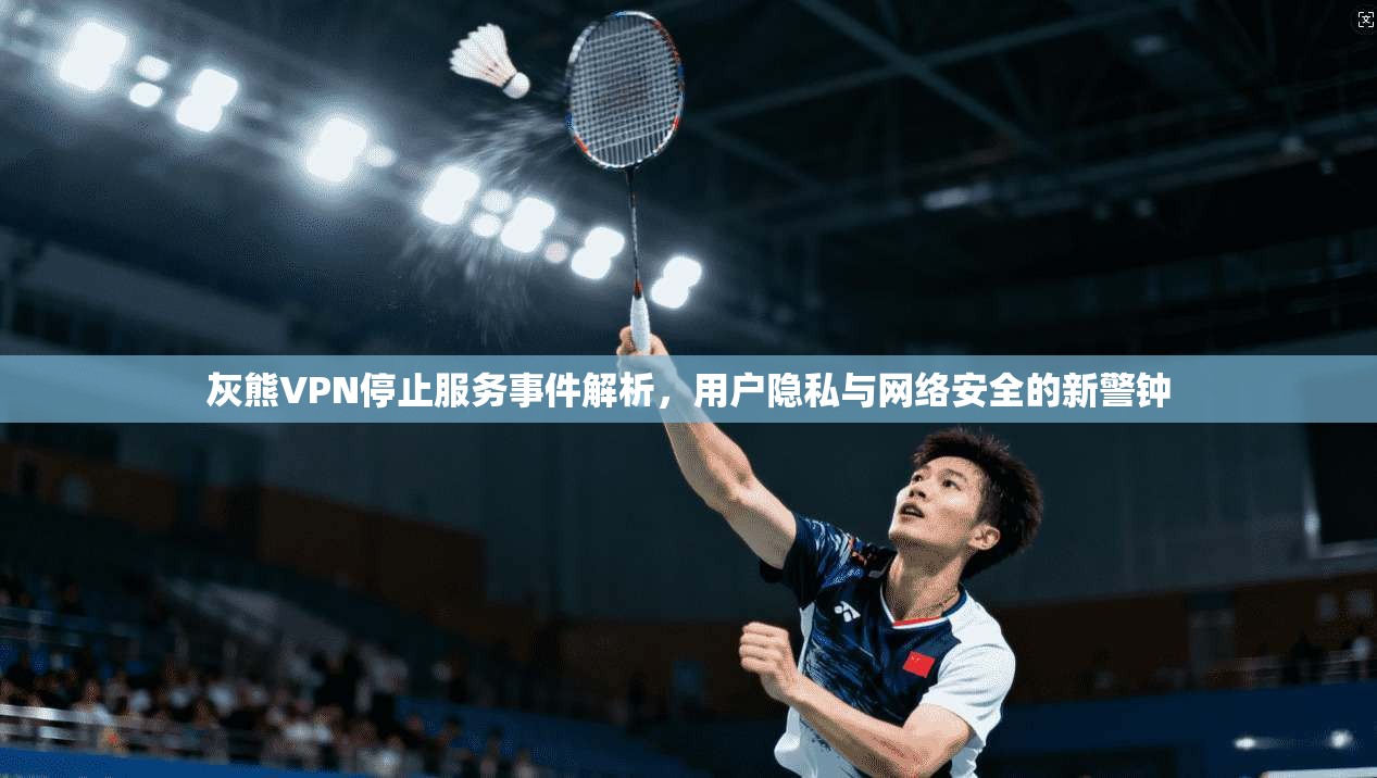 灰熊VPN停止服务事件解析，用户隐私与网络安全的新警钟