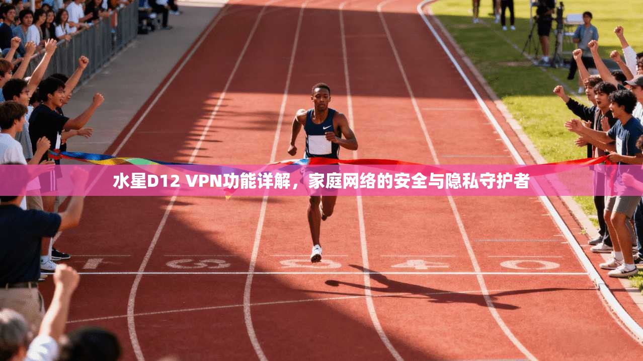 水星D12 VPN功能详解，家庭网络的安全与隐私守护者