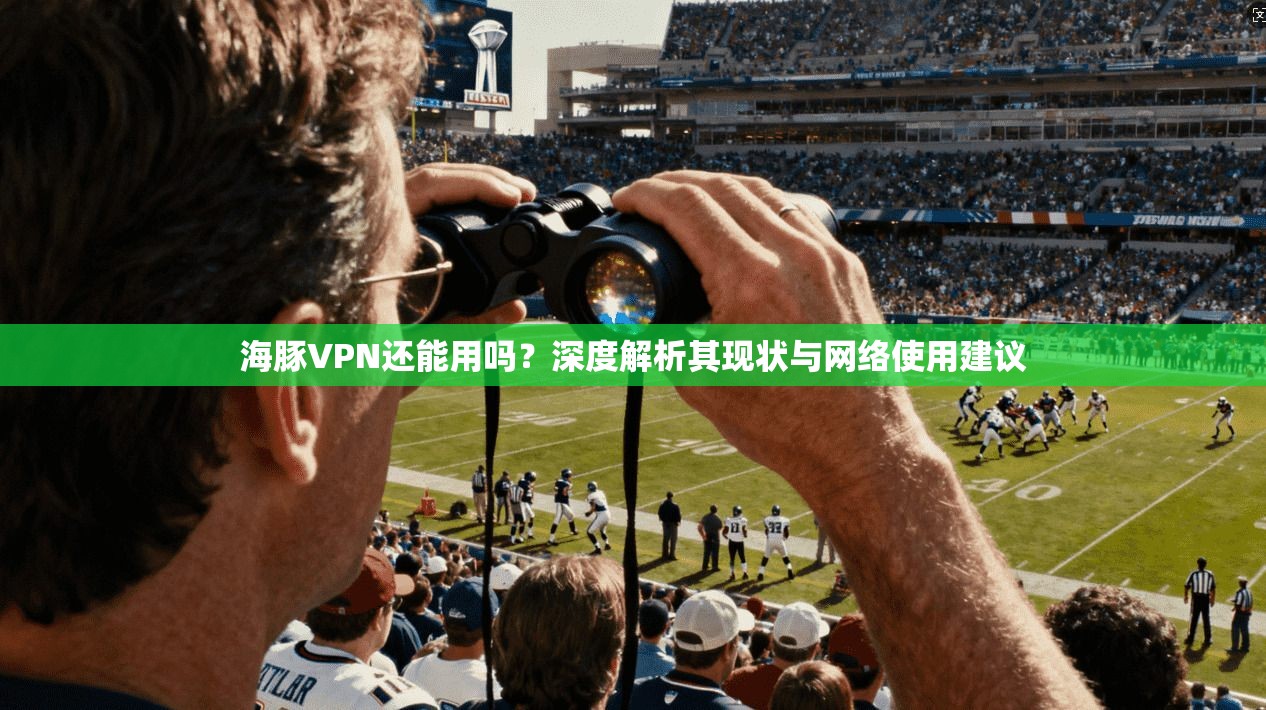 海豚VPN还能用吗？深度解析其现状与网络使用建议