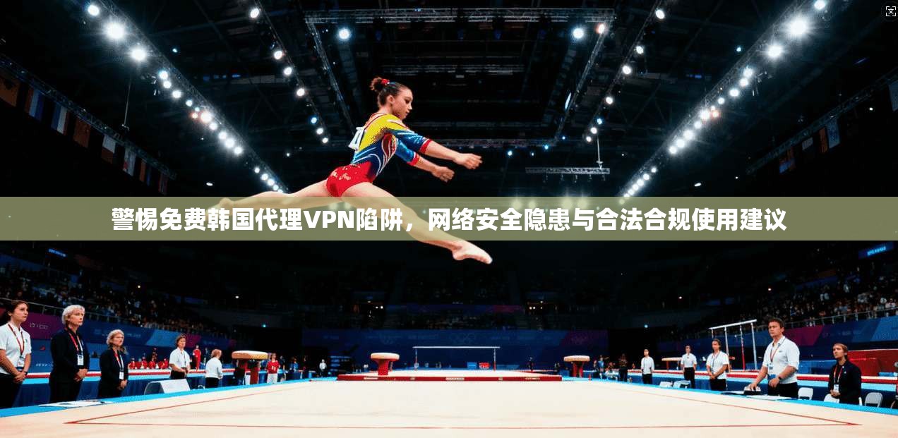 警惕免费韩国代理VPN陷阱，网络安全隐患与合法合规使用建议