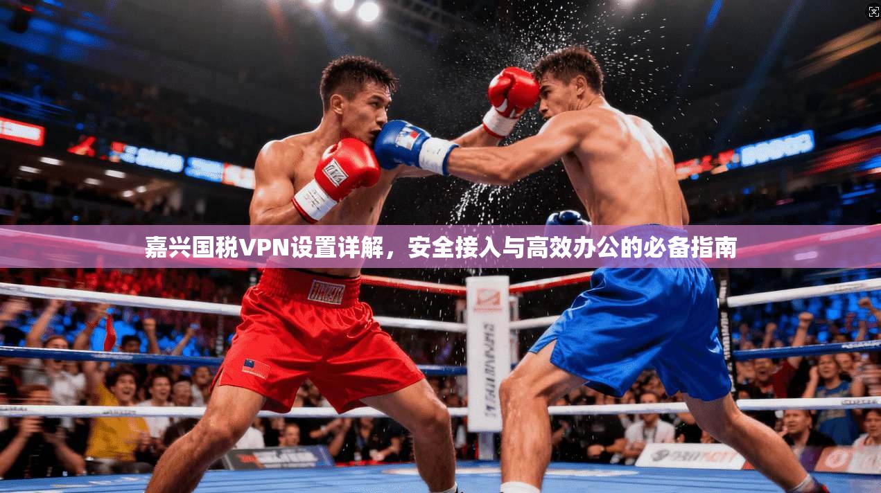 嘉兴国税VPN设置详解，安全接入与高效办公的必备指南