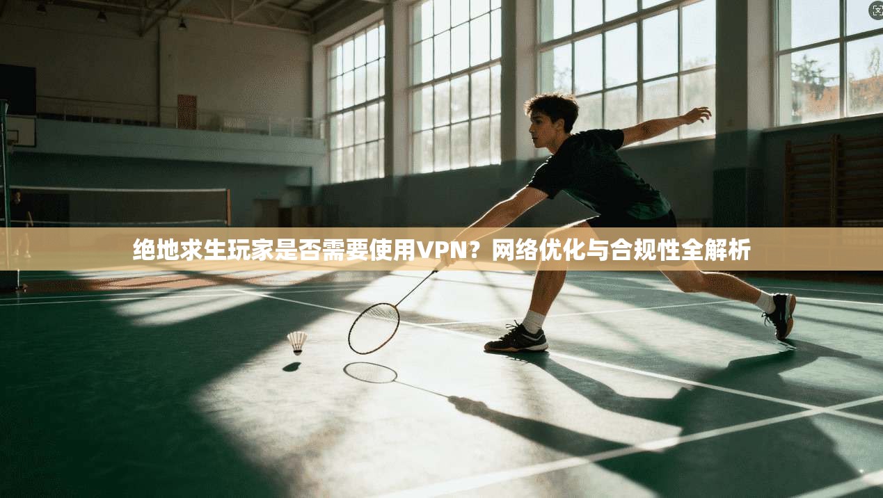 绝地求生玩家是否需要使用VPN？网络优化与合规性全解析