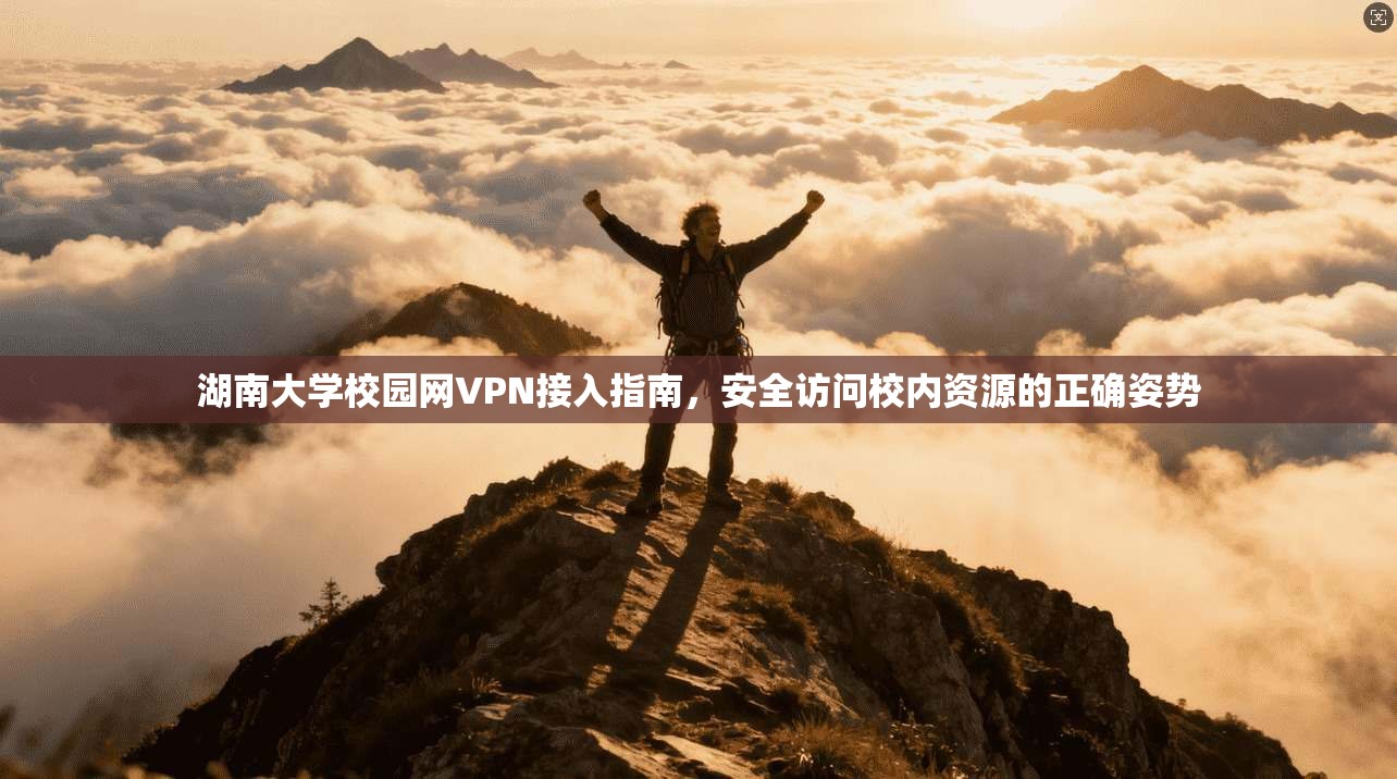 湖南大学校园网VPN接入指南，安全访问校内资源的正确姿势