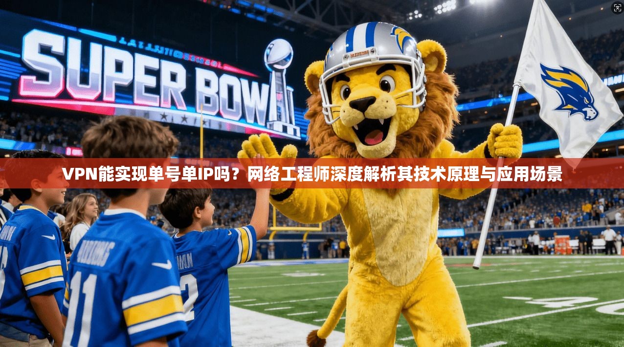 VPN能实现单号单IP吗？网络工程师深度解析其技术原理与应用场景