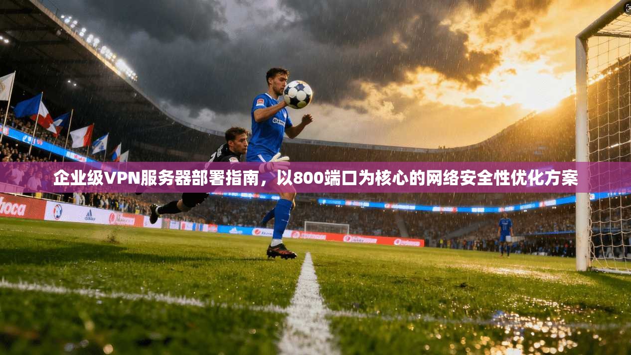 企业级VPN服务器部署指南，以800端口为核心的网络安全性优化方案