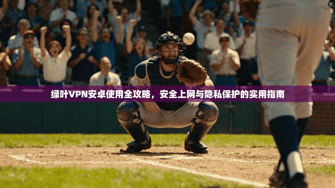 绿叶VPN安卓使用全攻略，安全上网与隐私保护的实用指南