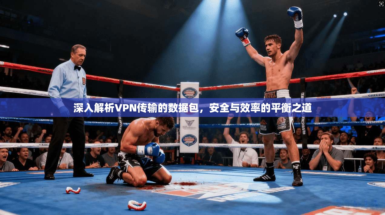 深入解析VPN传输的数据包，安全与效率的平衡之道