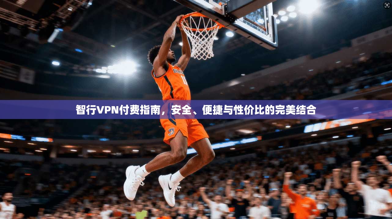 智行VPN付费指南，安全、便捷与性价比的完美结合