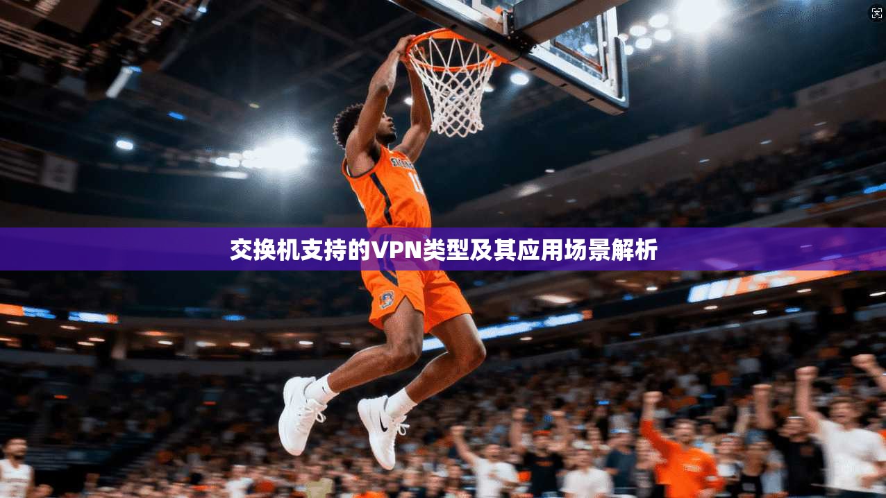 交换机支持的VPN类型及其应用场景解析