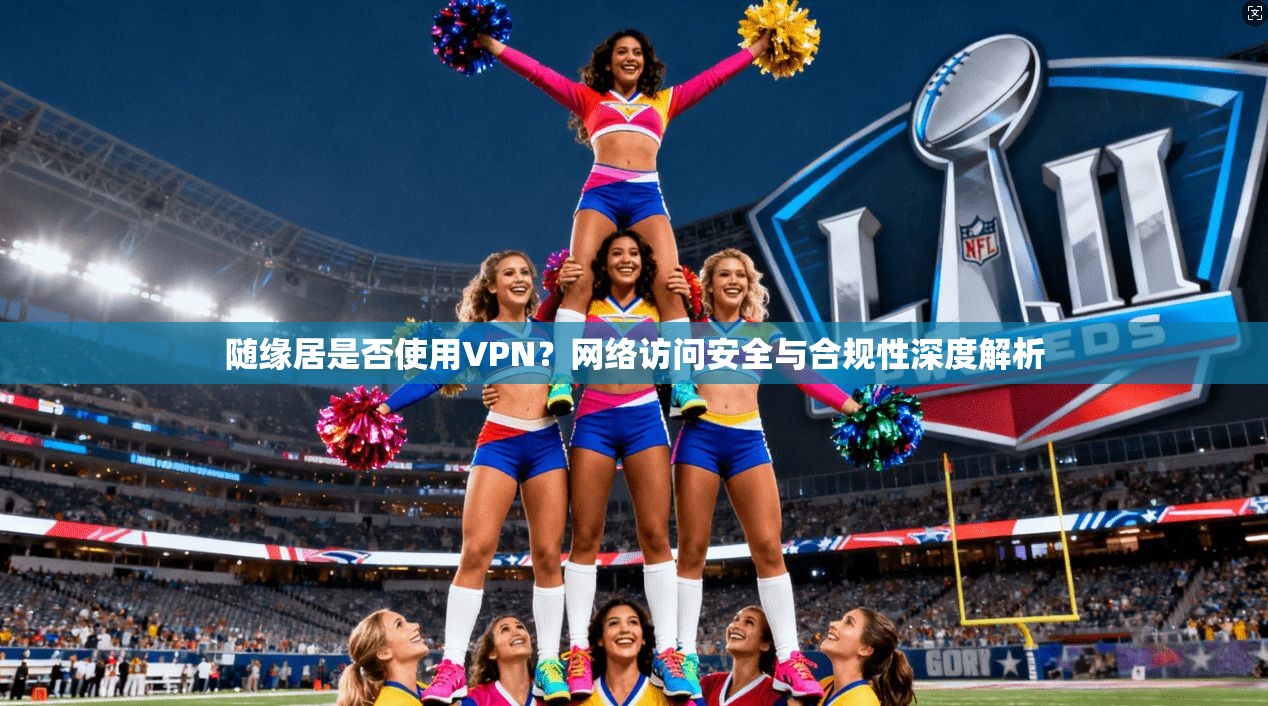 随缘居是否使用VPN？网络访问安全与合规性深度解析