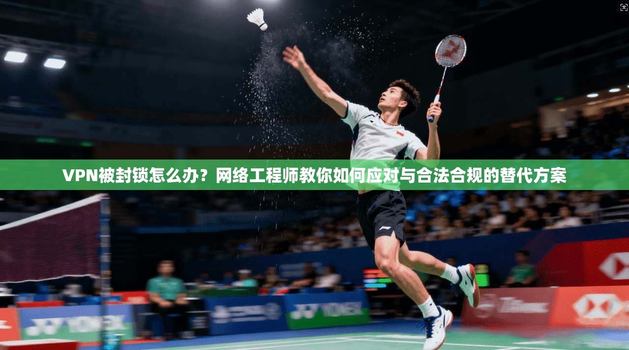 VPN被封锁怎么办？网络工程师教你如何应对与合法合规的替代方案