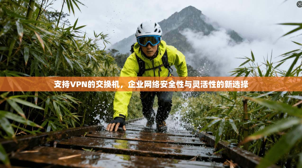 支持VPN的交换机，企业网络安全性与灵活性的新选择
