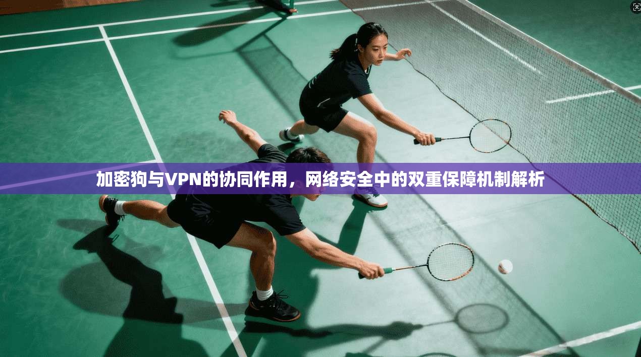 加密狗与VPN的协同作用，网络安全中的双重保障机制解析