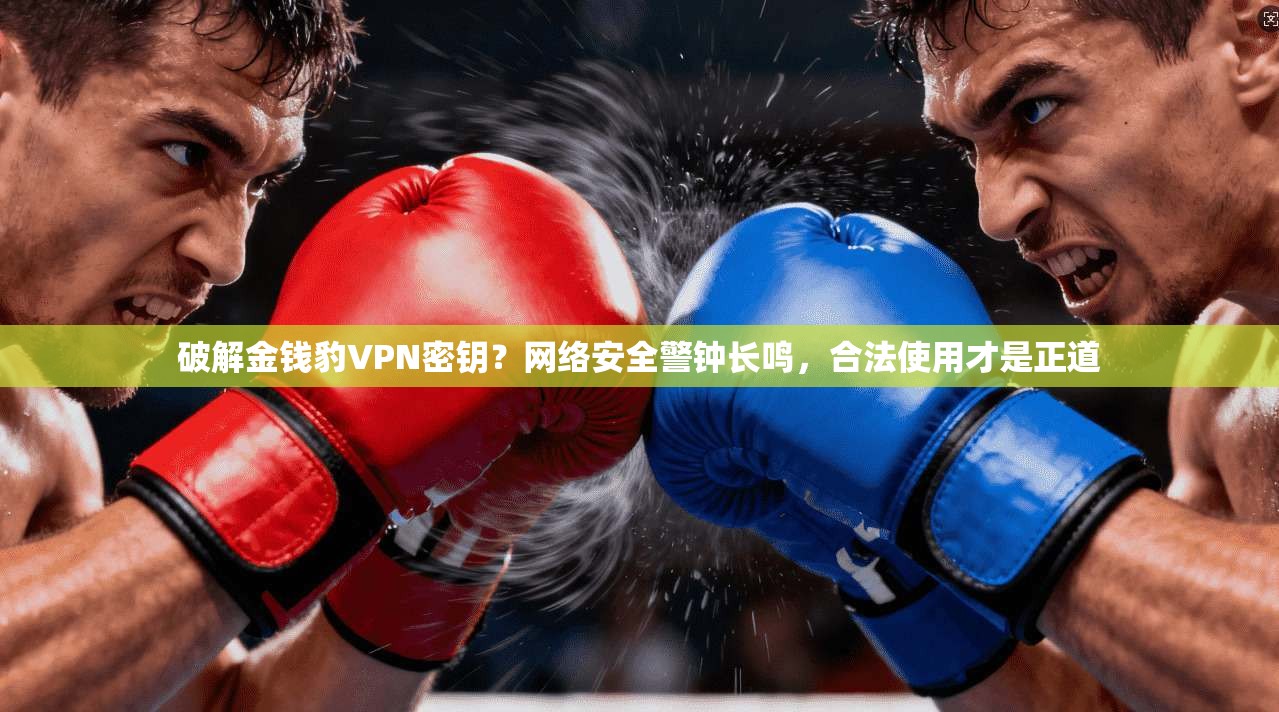 破解金钱豹VPN密钥？网络安全警钟长鸣，合法使用才是正道