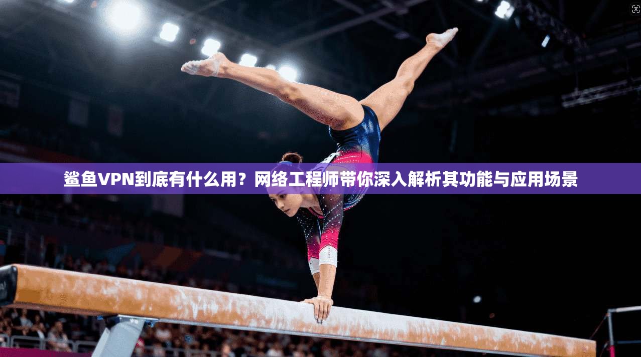 鲨鱼VPN到底有什么用？网络工程师带你深入解析其功能与应用场景