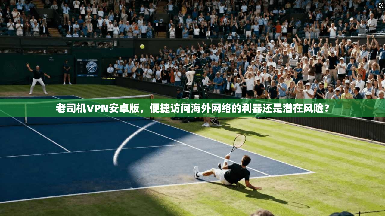 老司机VPN安卓版，便捷访问海外网络的利器还是潜在风险？
