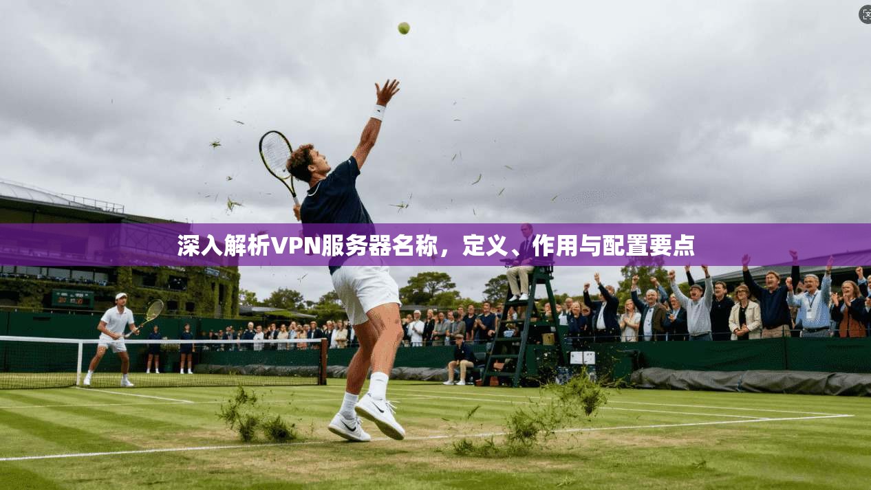 深入解析VPN服务器名称，定义、作用与配置要点