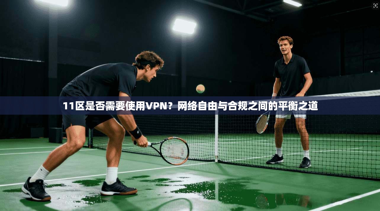 11区是否需要使用VPN？网络自由与合规之间的平衡之道