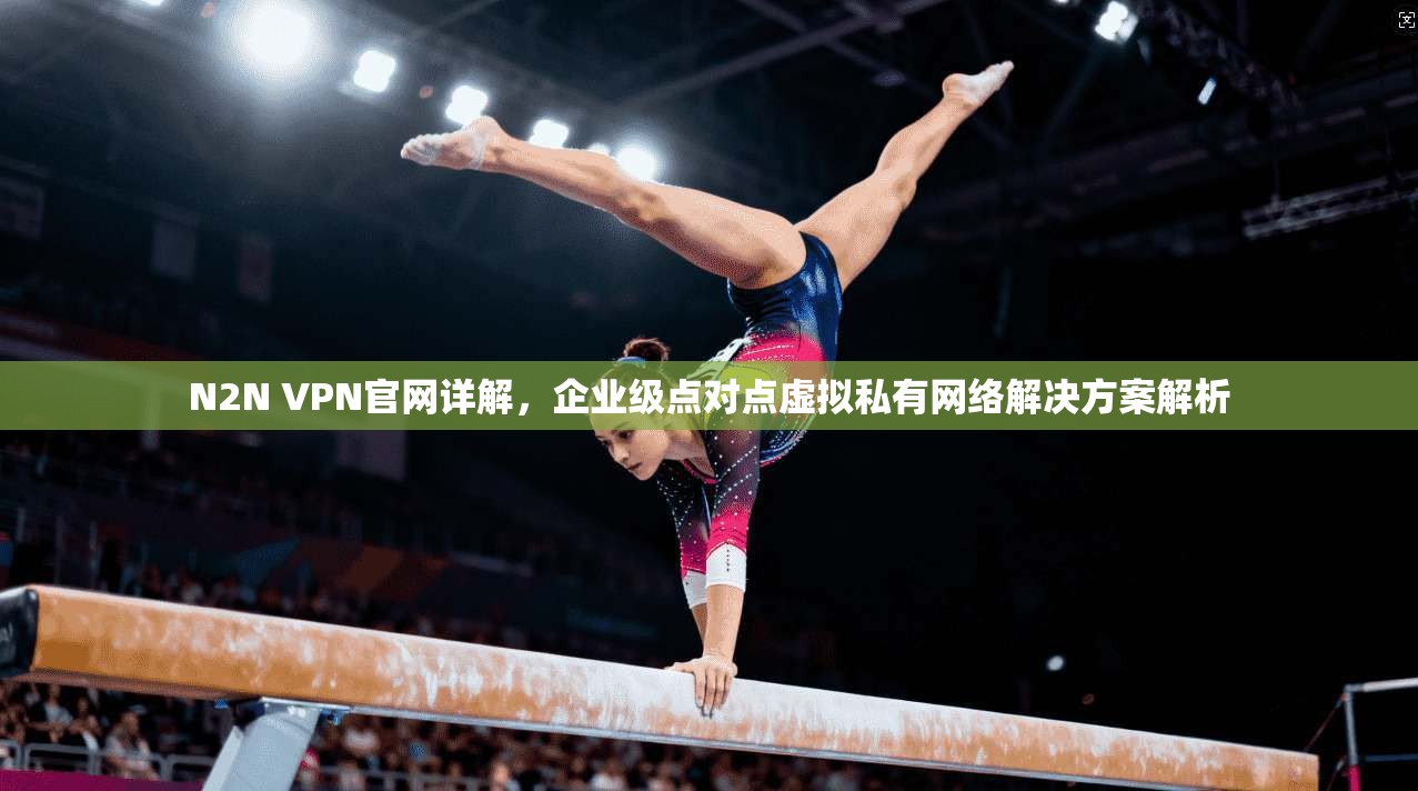 N2N VPN官网详解，企业级点对点虚拟私有网络解决方案解析