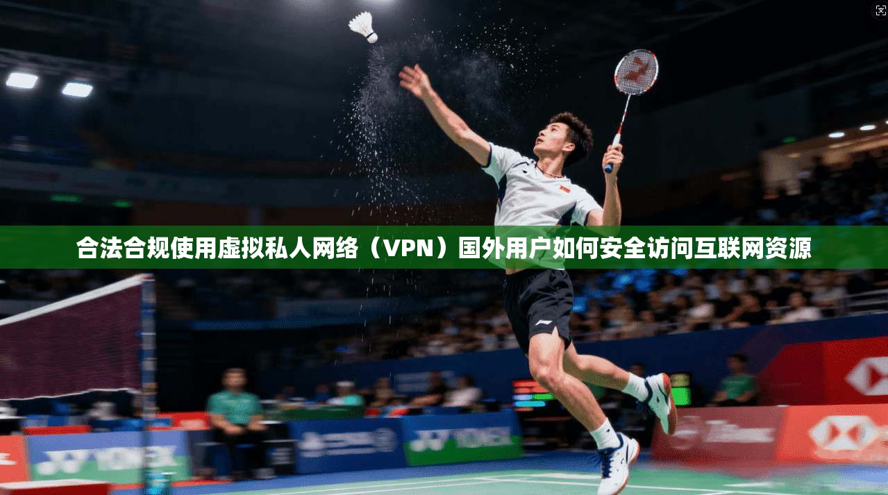 合法合规使用虚拟私人网络（VPN）国外用户如何安全访问互联网资源