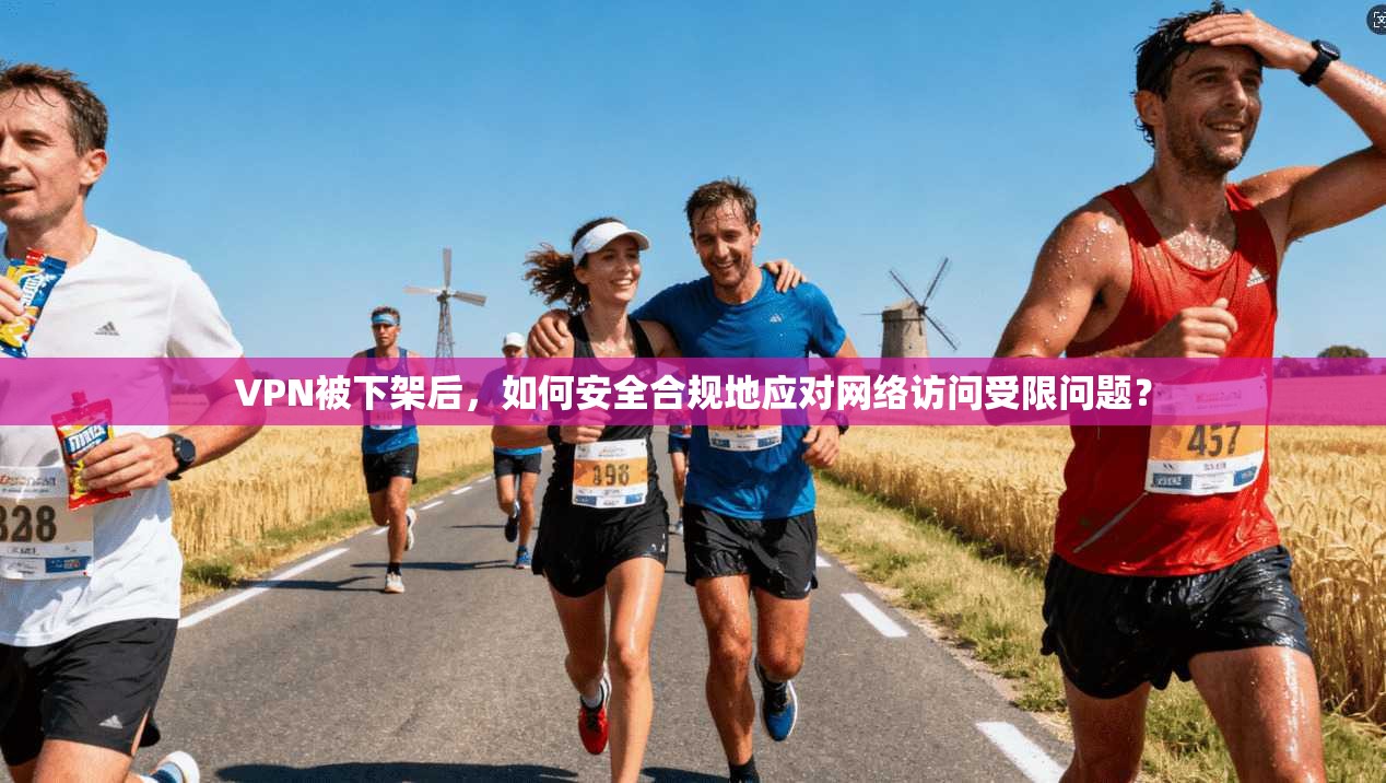 VPN被下架后，如何安全合规地应对网络访问受限问题？
