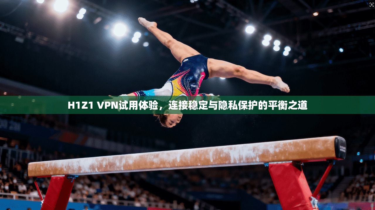 H1Z1 VPN试用体验，连接稳定与隐私保护的平衡之道