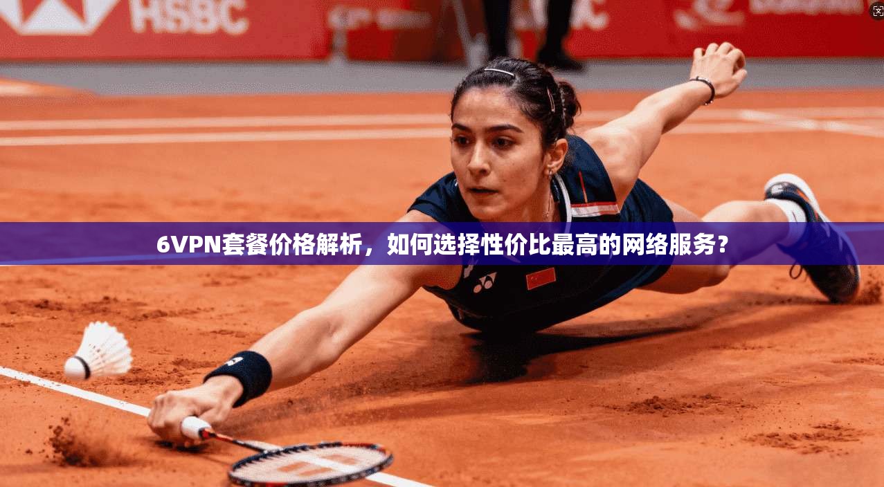 6VPN套餐价格解析，如何选择性价比最高的网络服务？