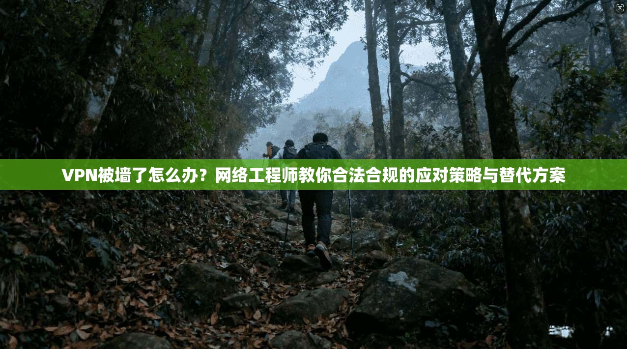 VPN被墙了怎么办？网络工程师教你合法合规的应对策略与替代方案