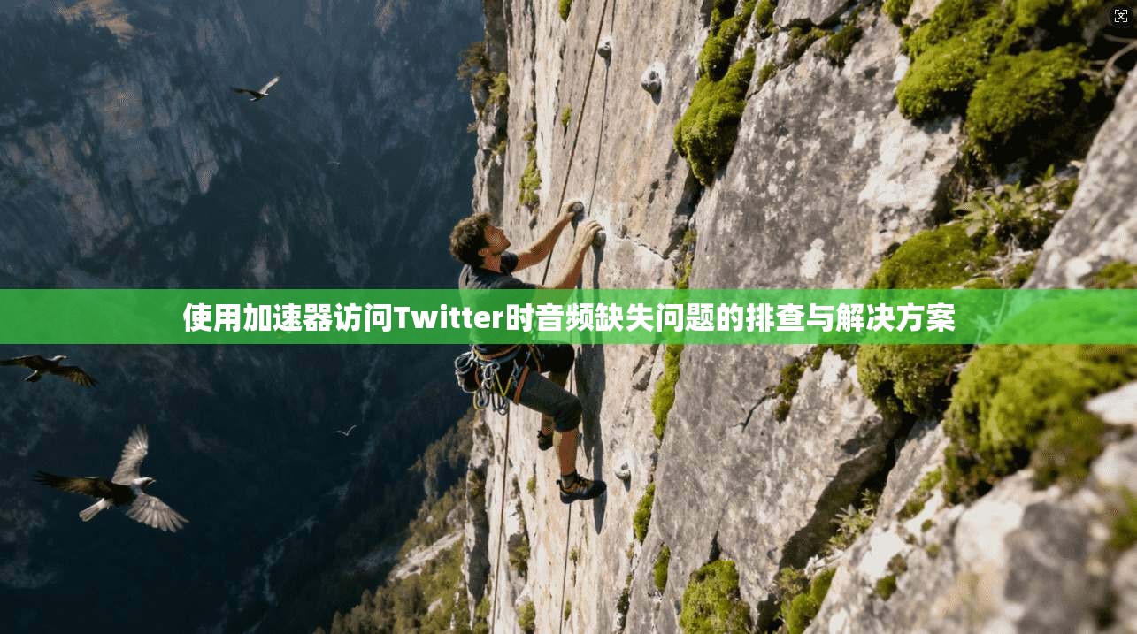 使用加速器访问Twitter时音频缺失问题的排查与解决方案