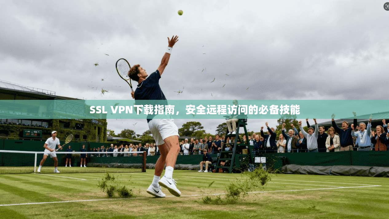 SSL VPN下载指南，安全远程访问的必备技能