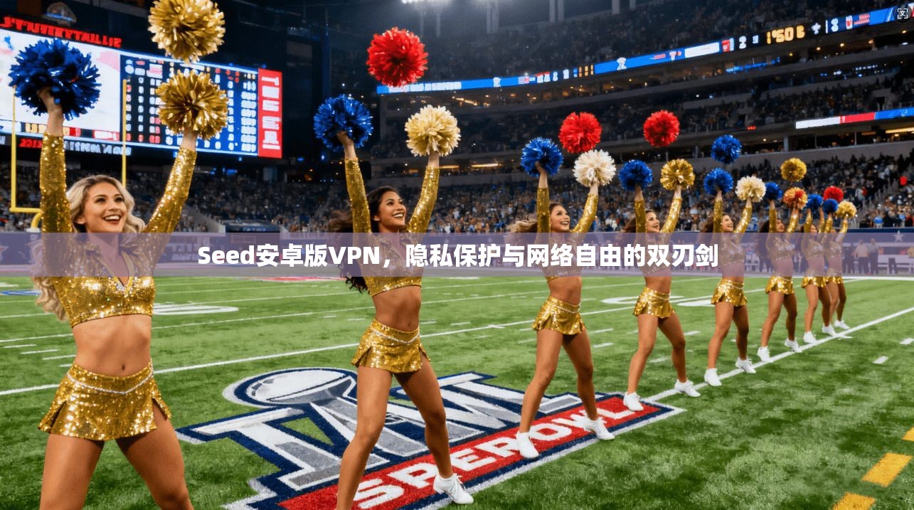 Seed安卓版VPN，隐私保护与网络自由的双刃剑