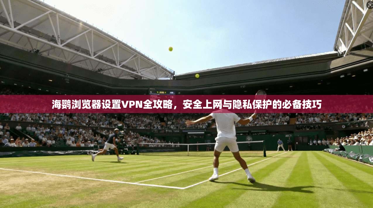 海鹦浏览器设置VPN全攻略，安全上网与隐私保护的必备技巧