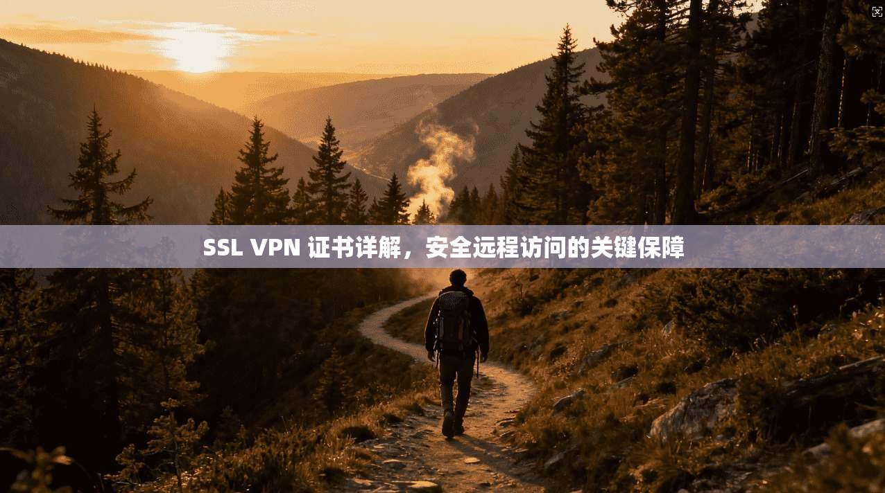 SSL VPN 证书详解，安全远程访问的关键保障
