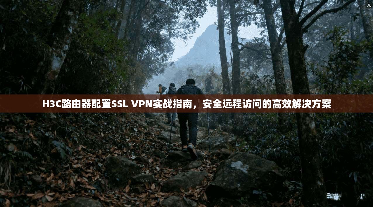 H3C路由器配置SSL VPN实战指南，安全远程访问的高效解决方案