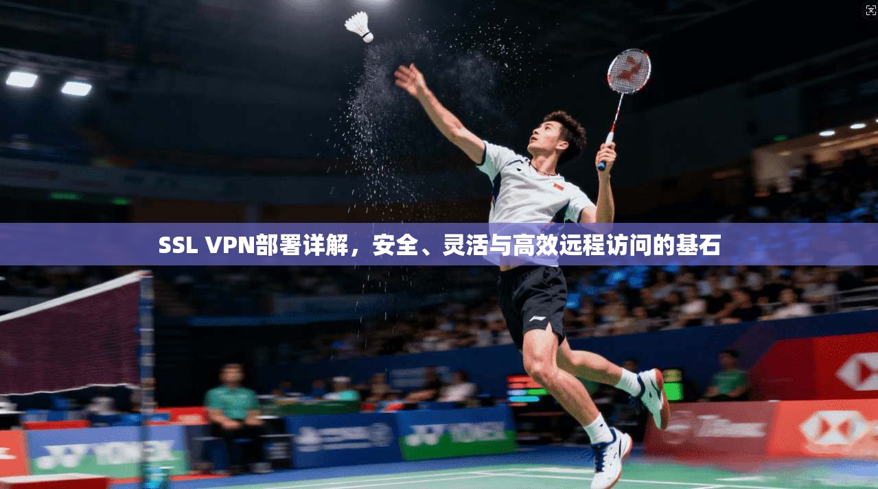 SSL VPN部署详解，安全、灵活与高效远程访问的基石