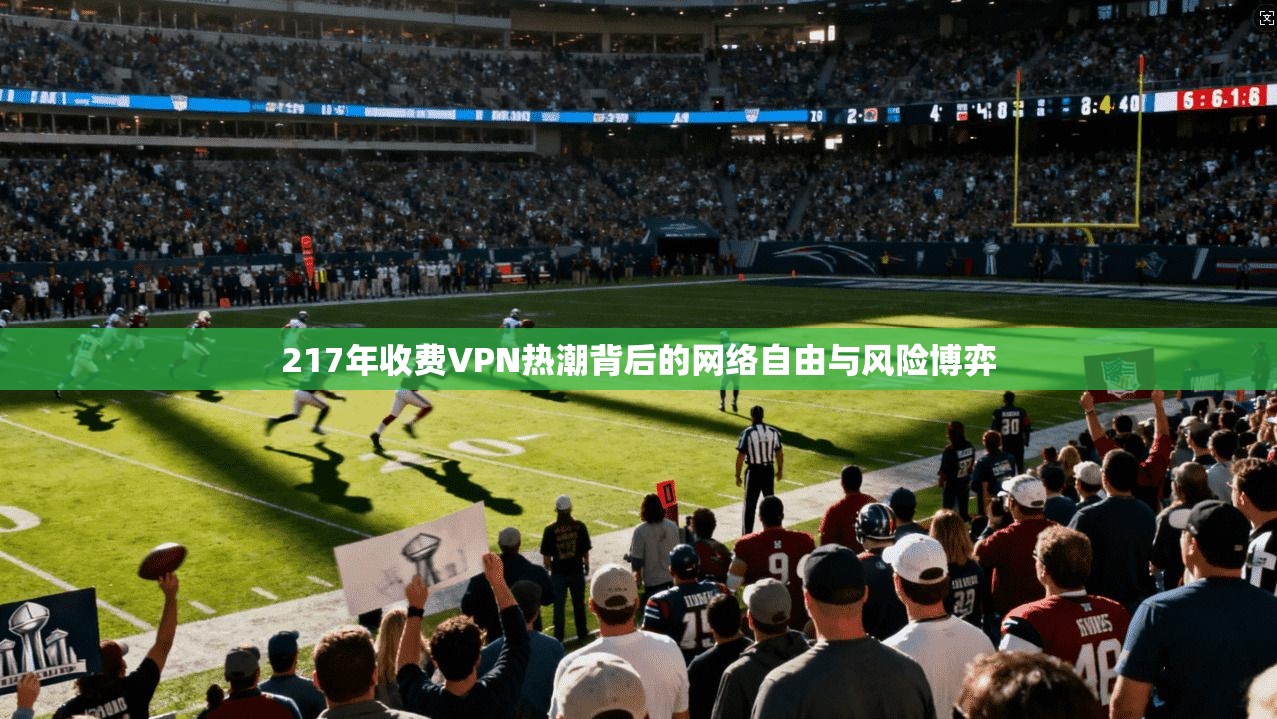 217年收费VPN热潮背后的网络自由与风险博弈