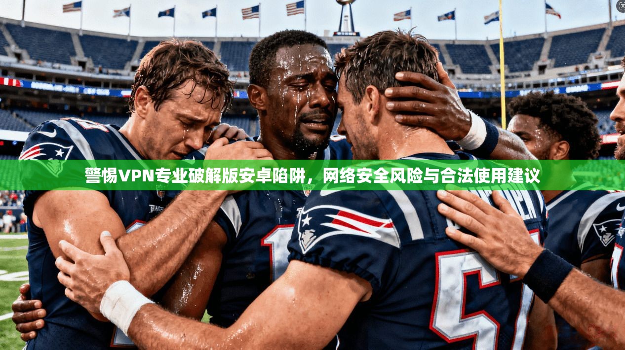 警惕VPN专业破解版安卓陷阱，网络安全风险与合法使用建议