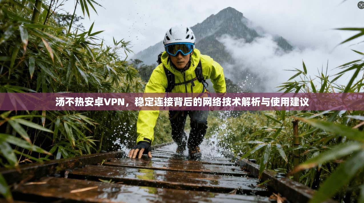 汤不热安卓VPN，稳定连接背后的网络技术解析与使用建议