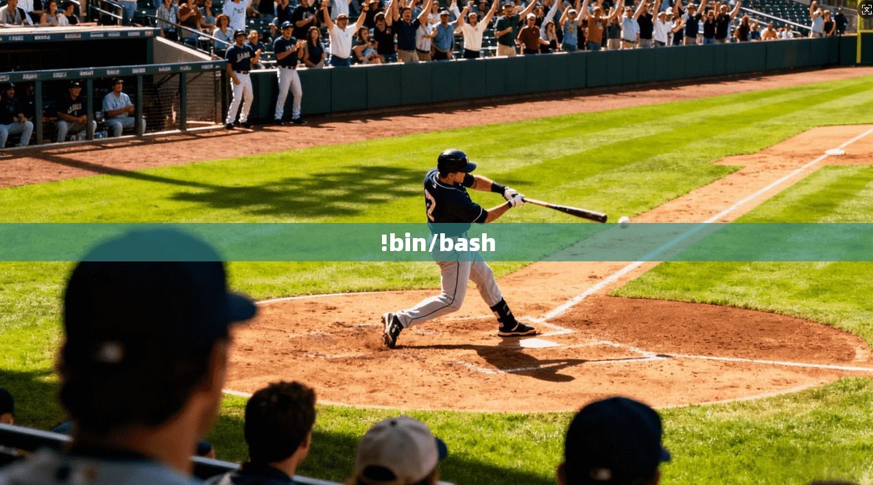 !bin/bash