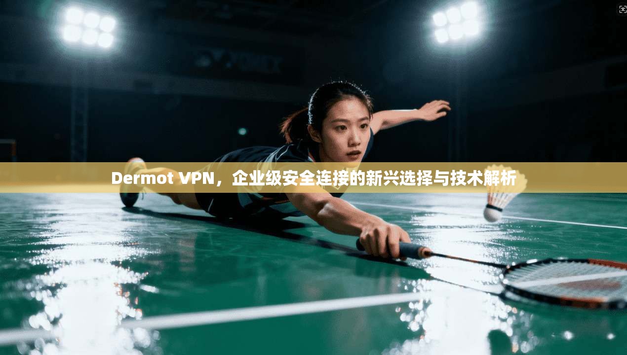 Dermot VPN，企业级安全连接的新兴选择与技术解析