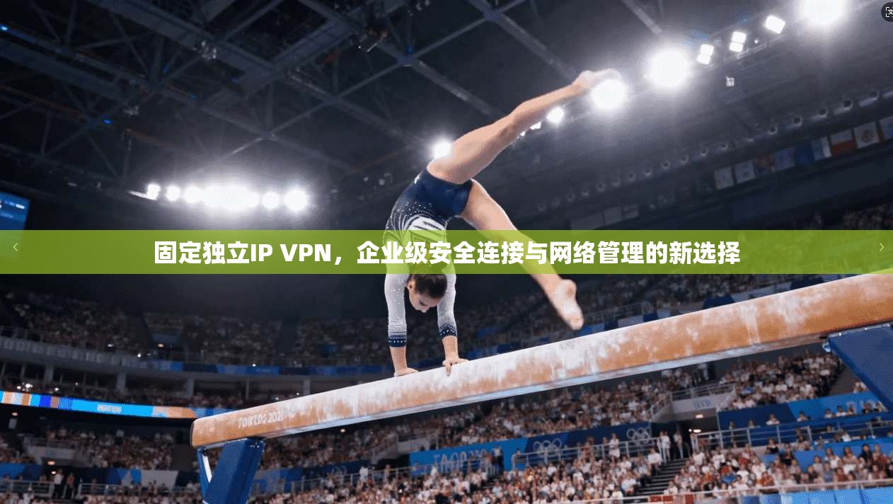 固定独立IP VPN，企业级安全连接与网络管理的新选择