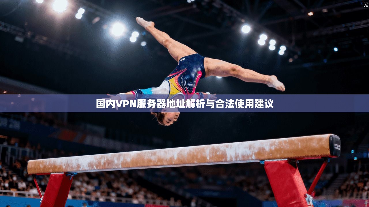 国内VPN服务器地址解析与合法使用建议
