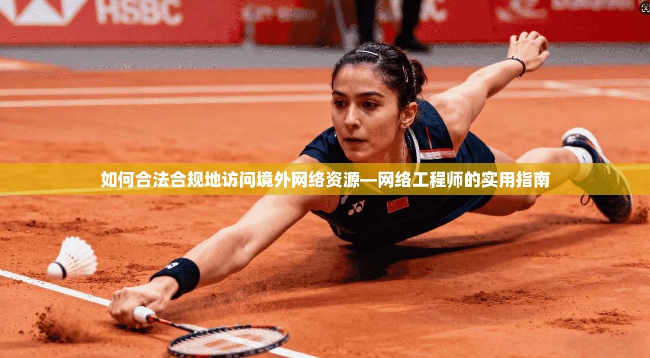 如何合法合规地访问境外网络资源—网络工程师的实用指南
