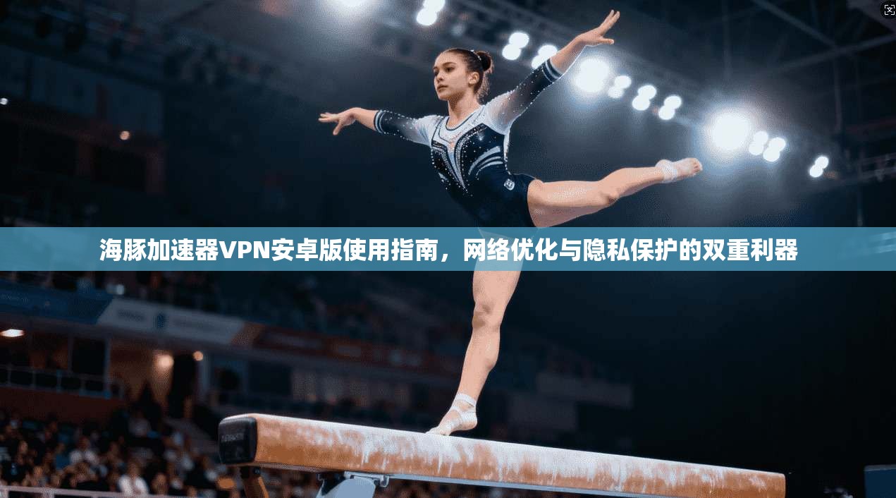 海豚加速器VPN安卓版使用指南,网络优化与隐私保护的双重利器